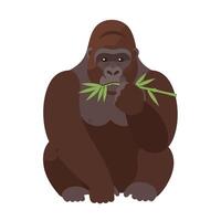 A detailed flat illustration of a gorilla sitting peacefully while munching on bamboo, showcasing a calm and serene atmosphere in art vector