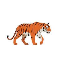 Tiger walking confidently with vibrant orange fur and black stripes in a flat design style, showcasing its strength in a minimalistic art vector