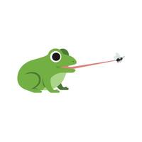 Green frog with large eyes extending its long tongue to catch a fly in a flat illustration vector
