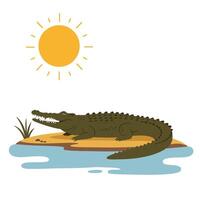 Crocodile basking on a sandy bank under a bright sun in a flat, minimal illustration vector