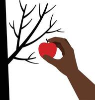A hand reaching for a vibrant red apple on a bare tree branch in a minimalist flat illustration vector