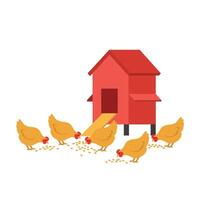 Chickens foraging around a red barn in a playful flat design illustration vector