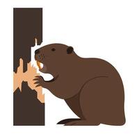 Brown beaver chewing on a tree trunk in a minimal flat design illustration showcasing natures wildlife and the animals playful activity vector