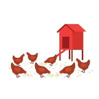 A group of red hens pecking at scattered feed near a bright red chicken coop in flat art vector