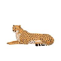 Sleek cheetah lounging gracefully on a white background in a minimal and modern design style, showcasing its distinctive spots in vibrant colors, illustration vector
