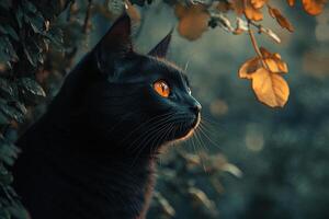 Side view portrait of black cat in green bushes with natural bokeh background. Generated by artificial intelligence photo