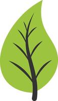 Green leaf with intricate branch details in a flat design style showcasing natures elegance, perfect for eco-friendly themes, art vector