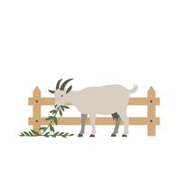 Goat grazing on fresh greenery beside a wooden fence in minimal flat design art vector