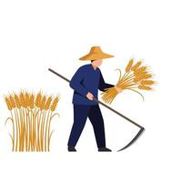 Farmer harvesting wheat in a golden field wearing a straw hat, flat design art vector