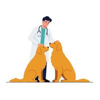 A veterinarian in a white coat lovingly interacts with two golden retrievers in a minimal and cheerful style, showcasing care and companionship in art vector