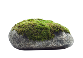 Small Mossy Boulder with Rounded Edges and Green Texture. Isolated on a Transparent Background png