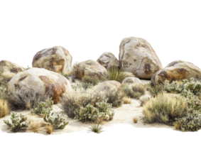 Rocky Terrain with Sparse Grass and Small Boulders. Isolated on a Transparent Background png