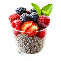 Chia Pudding with Mixed Berries and Mint Garnish Isolated on Transparent Background png