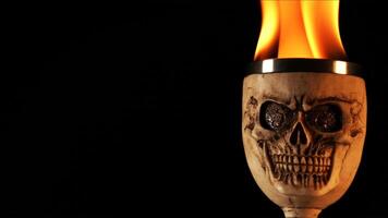 Head Skull burning in flames 03 photo
