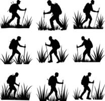 Silhouettes of Hikers Walking with Backpacks and Sticks through Grass on White vector