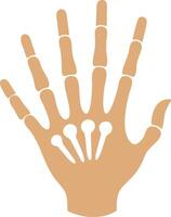 Artistic Skeleton Hand Design with Hand-Drawn Elements and Sketch Style vector