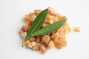 Frankincense or olibanum aromatic resin used in incense and photo