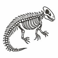 Dinosaur Skeleton Illustration Detailed Prehistoric Reptile Fossil Design vector