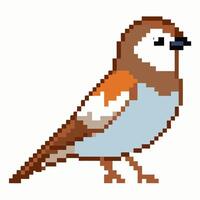 Pixel Art Sparrow Illustration Retro, Bird Design in 8 bit Style vector