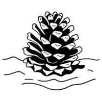 Pine cone illustration on white background, black and white sketch, nature and botanical art vector