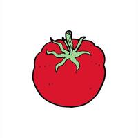 A red tomato on a white background drawing video