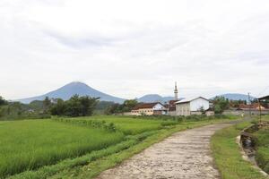 a dirt road with a house in the background photo