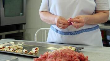 Preparing homemade dumplings with meat filling in a busy kitchen setting in the afternoon video