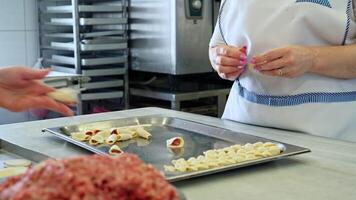 Preparing traditional pasta in a busy kitchen with fresh ingredients and expert hands video