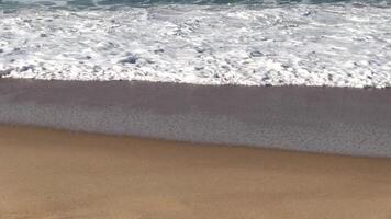 Tight Shot Of Ocean Waves On Sand Beach With Foam And Single Sandpiper Bird At End video