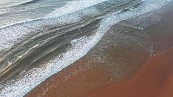 Drone shot of waves rolling onto wet sandy shore with white foam video