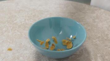 Corn flakes cascading into light blue ceramic bowl, gradually covering surface while sitting on pristine kitchen worktop with golden, crispy flakes falling in slow motion video
