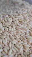Exploring the texture and use of raw pine nuts in cooking video