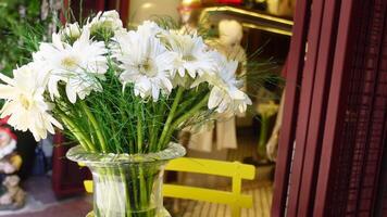 Bright white flowers in a vase at a charming cafe video