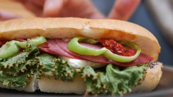 Fresh deli sandwich preparation with crisp vegetables and meat video