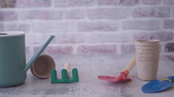 Exploring indoor gardening with tools and plants at home video