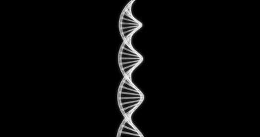 Hologram screen 3d of Chain of DNA gyrating - loop video