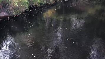 cold river water slowly flowing, top view, dark abstract background video