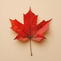 Maple leaf on soft beige background, autumn season close-up photo