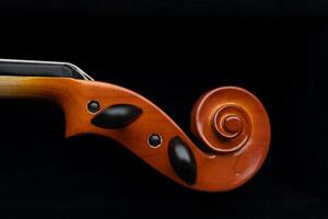 A detailed macro shot highlighting the delicate strings and fine craftsmanship of a violin. Ideal for educational materials, music lessons, or artistic backgrounds. photo