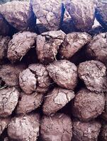 A pile of dirt with a pile of dirt on top photo
