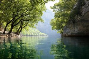 A river with trees and rocks in the middle photo