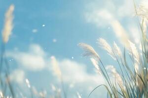 A field of grass with some clouds in the sky photo