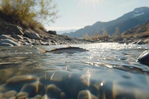 A fish swimming in a river with mountains in the background photo