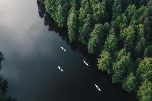 Three canoes float on a lake surrounded by trees photo