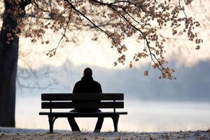 A man sits alone on a bench in the fall photo