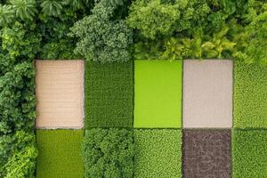 An aerial view of a green field with trees and grass photo