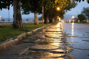 A wet street with a stone walkway and trees photo