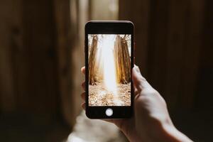 A person holding up a smartphone with a photo of a forest