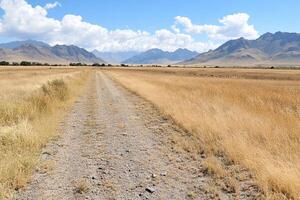 A dirt road in a field with mountains in the background photo