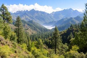 A view of the mountains from a forested area photo